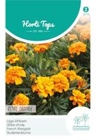 Zaden Tagetes lage Afrikaan Petite Orange Hortitops - Hortitops - thumbnail