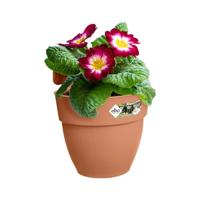 Elho vibia campana easy hanger small terra - thumbnail