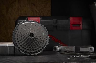 e*thirteen TRS+ 11-speed Cassette 9-46 T