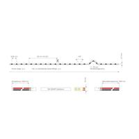 Deko Light 840333 LED-strip Energielabel: E (A - G) Met open kabeleinde 24 V/DC 5000 mm Warmwit 5 m - thumbnail