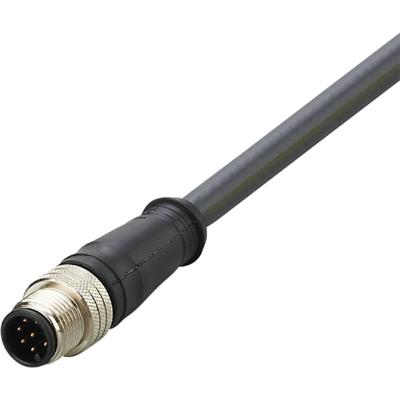 ifm Electronic E12436 Verbindingskabel Aantal polen (sensoren): 8 Stekker, recht 2 m 1 stuk(s)