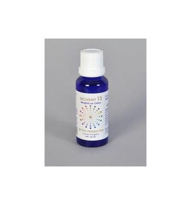 Vita Segment 13 weefsel en cellen 30 Milliliter