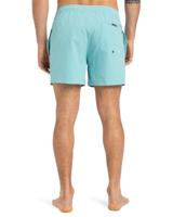 Quicksilver Everyday Surfwash Volley 15" Zwembroek - thumbnail