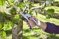 GARDENA 08798-20 SmartCut Tuinschaar Pal, Amboss - thumbnail