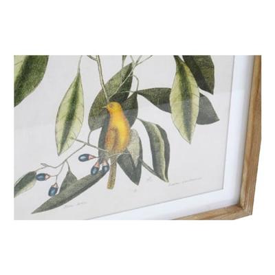 Schilderij DKD Home Decor Bird 55 x 2,5 x 70 cm Tropisch Vogels (4 Onderdelen) Schilderij DKD Home Decor Bird 55 x 2,5 x 70 cm Tropisch Vogels (4 Onderdelen)