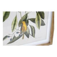 Schilderij DKD Home Decor Bird 55 x 2,5 x 70 cm Tropisch Vogels (4 Onderdelen) - thumbnail