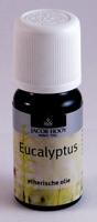 Jacob Hooy Essentiële Olie Eucalyptus - thumbnail