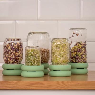 Food Huggers Sprout huggers - kweek je eigen groenten - sage green