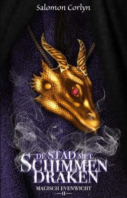 De stad met schimmendraken (Paperback)