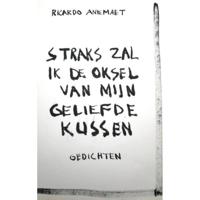Straks zal ik de oksel van mijn geliefde kussen - Ricardo Anemaet - Paperback (9789464184044) - thumbnail