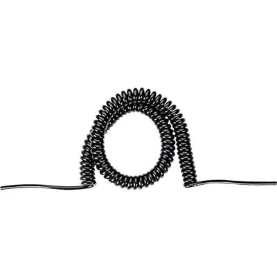 Bachmann BM0010700 Aansluitkabel Stroom Zwart 6 m