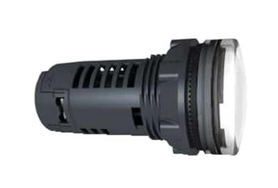 Schneider Electric Verlichte melder 1 stuk(s)