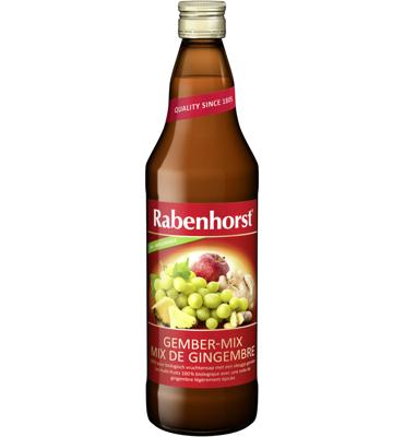 Rabenhorst Gember-Mix Sap
