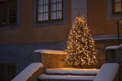 Konstsmide 6662-830 Kerstboomverlichting Buiten Energielabel: E (A - G) werkt op het lichtnet Aantal lampen 450 LED Barnsteen Konstsmide 6662-830 Kerstboomverlichting Buiten Energielabel: E (A - G) werkt op het lichtnet Aantal lampen 450 LED Barnsteen