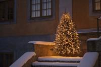 Konstsmide 6662-830 Kerstboomverlichting Buiten Energielabel: E (A - G) werkt op het lichtnet Aantal lampen 450 LED Barnsteen - thumbnail