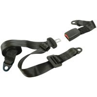Carpoint gordel - 3-punts - voertuigcategorie m & n - personenauto of campers (m) - bussen, bestelauto of vrachtwagen (n) - lengte 25/230cm - thumbnail