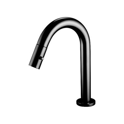 Fonteinkraan Boss & Wessing Tratto Mat Zwart Boss & Wessing