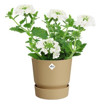 Greenville round 16cm goudkleurig zand bloempot elho - Elho Greenville round 16cm goudkleurig zand bloempot elho - Elho