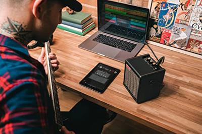 Positive Grid Spark Mini