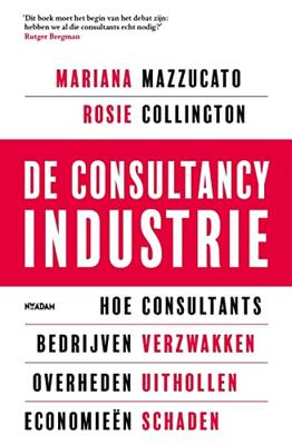 De consultancy industrie - Mariana Mazzucato, Rosie Collington - ebook