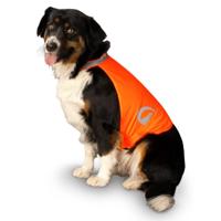Nightwalk Safety Vest Oranje L - thumbnail