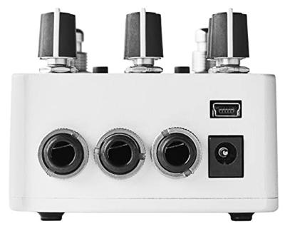 Red Panda Raster 2 digitale delay met pitch- en frequency shifter