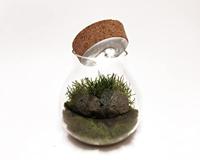Terrarium vaas met LED - 15 cm diameter - thumbnail