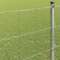 Weidehekwerk Zilver 50 x 1.4 m Gegalvaniseerd staal - thumbnail