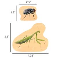 Tickit Houten Blokken Insecten - thumbnail