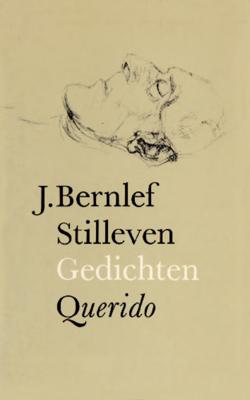 Stilleven - J. Bernlef - ebook