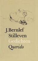 Stilleven - J. Bernlef - ebook - thumbnail
