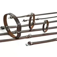 Beeztees - Halsband Hond - Leer - Bruin - 32-37 cm x 16 mm - thumbnail