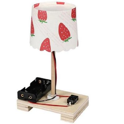 Creatieve DIY kleine tafel lamp technologie kleine productiebasis school studenten handleiding materiaalwetenschap experiment Creatieve DIY kleine tafel lamp technologie kleine productiebasis school studenten handleiding materiaalwetenschap experiment