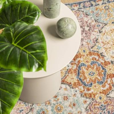 VidaXL Vloerkleed arbizu binnen en buiten vintage stijl 80x150 cm VidaXL Vloerkleed arbizu binnen en buiten vintage stijl 80x150 cm