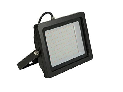 Eurolite LED IP FL-100 LED-buitenschijnwerper Violet 110 W