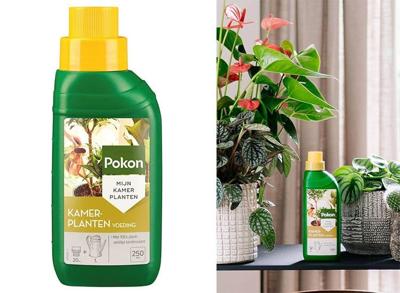 Pokon Kamerplanten Voeding 250ml