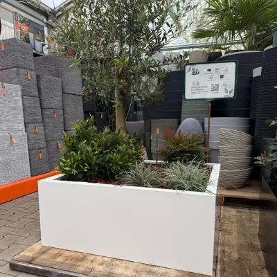 GLM plantenbak Amsterdam met bodem Wit 100x100x40cm GLM plantenbak Amsterdam met bodem Wit 100x100x40cm