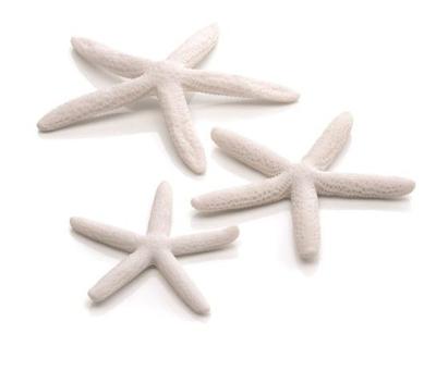 BiOrb zeester set 3 wit aquarium decoratie BiOrb zeester set 3 wit aquarium decoratie