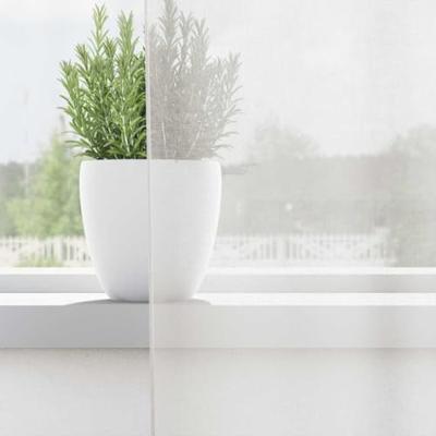 Gordijnen voile met doorvoertules 2 st wit