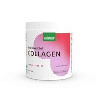 Purasana Collagen Powder Watermelon 250gr - thumbnail