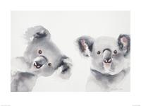 Koala's Art Print Aimee Del Valle 60x80cm - thumbnail