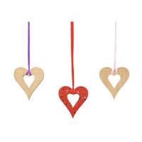 Colorations - houten hartversieringen groot, 20st. - thumbnail