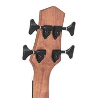 Gold Tone M-BASS25 Microbass met gigbag - thumbnail