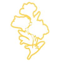 Nellie's Choice • shape die orchidee - thumbnail