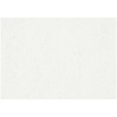 TOM aquarelpapier 100 stuks A2 200 gr