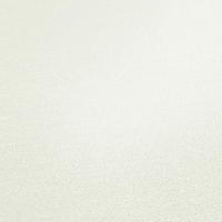 AS Creation PintWalls II - Wit - 389033 - thumbnail