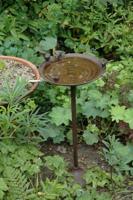 Vogelbad staand op Voet - Esschert Design - thumbnail