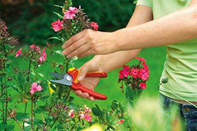 WOLF-Garten 73CFA001650 RR 1500 BASIC PLUS Tuinschaar Bypass - thumbnail