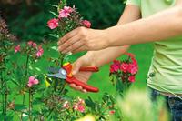 WOLF-Garten 73CFA001650 RR 1500 BASIC PLUS Tuinschaar Bypass - thumbnail