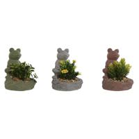 Decoratieve plant Home ESPRIT Polyethyleen Cement Kikker 9 x 9 x 13 cm (3 Stuks) - thumbnail